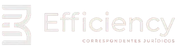 Efficiency Correspondentes Jurídicos